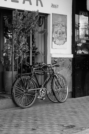 Two bicycles are leaning against the metal gate of a storefront. There is a potted plant with dense foliage next to the bicycles. The storefront has a festive or artistic sign on the wall and a number '2067' is visible above it. The scene is in black and white, giving it a vintage feel.