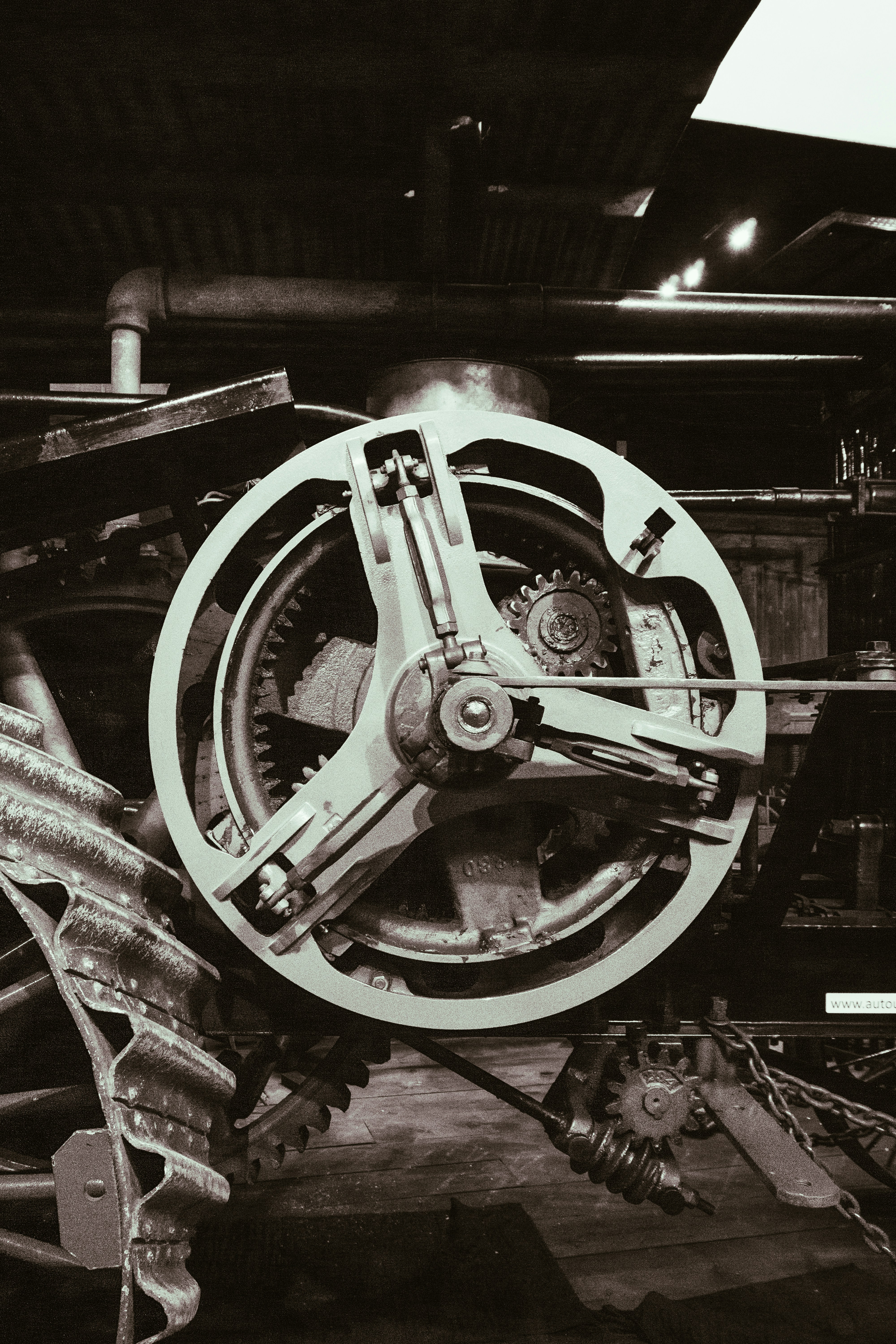 Photo by sindy_suessengut