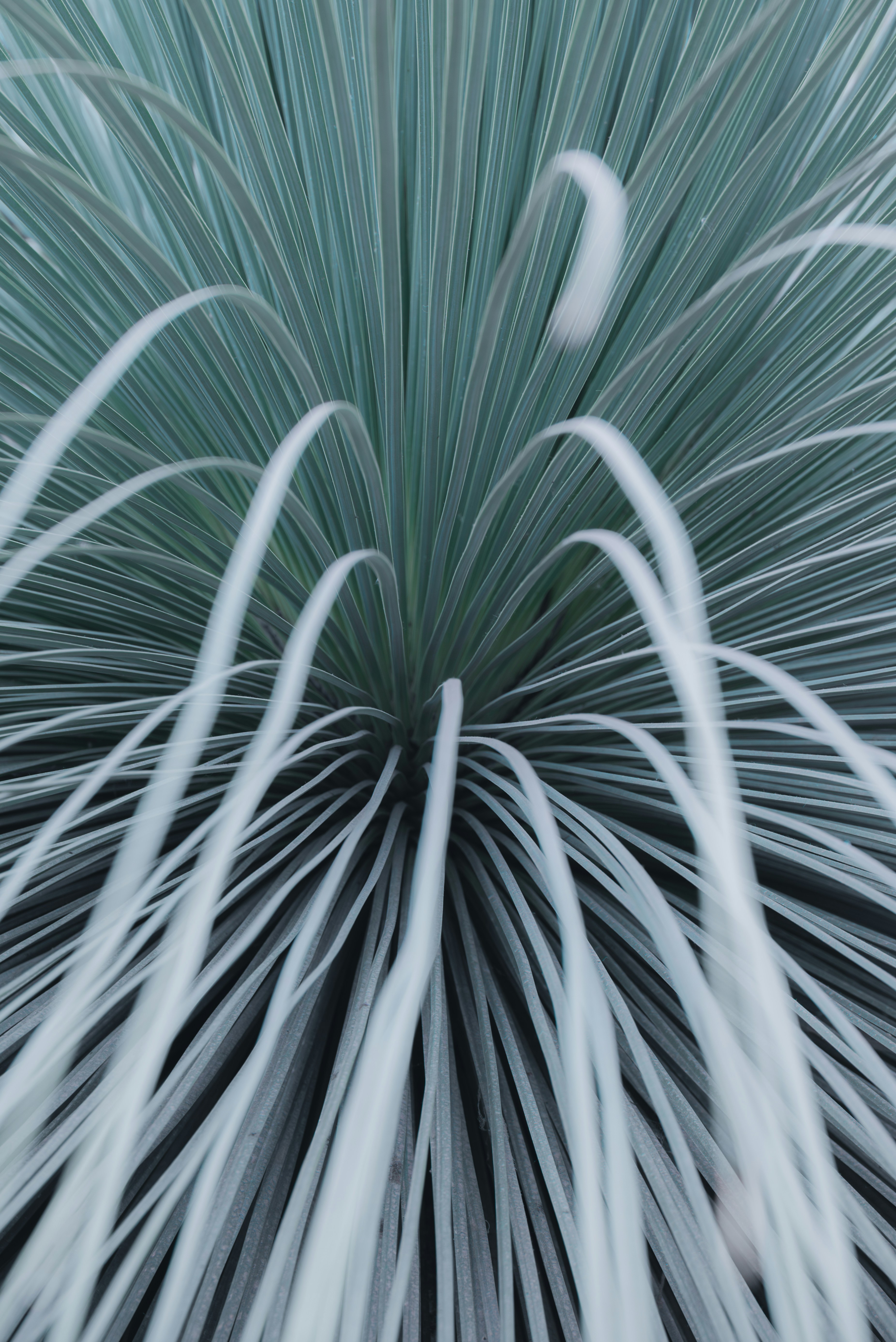 Photo by jetztabertempo