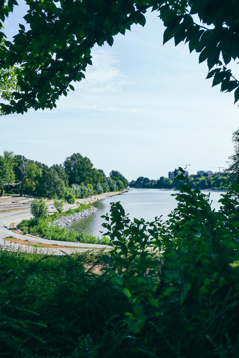 a view of a lake through some trees