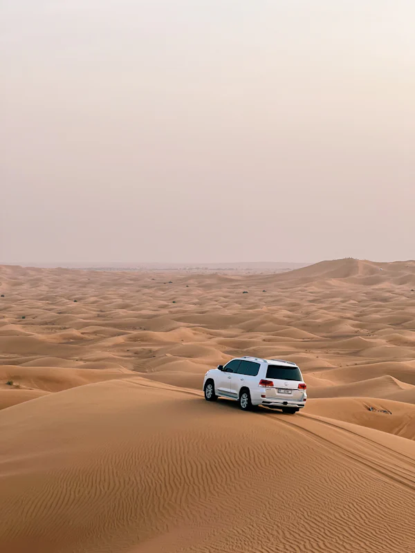 Desert Safari
