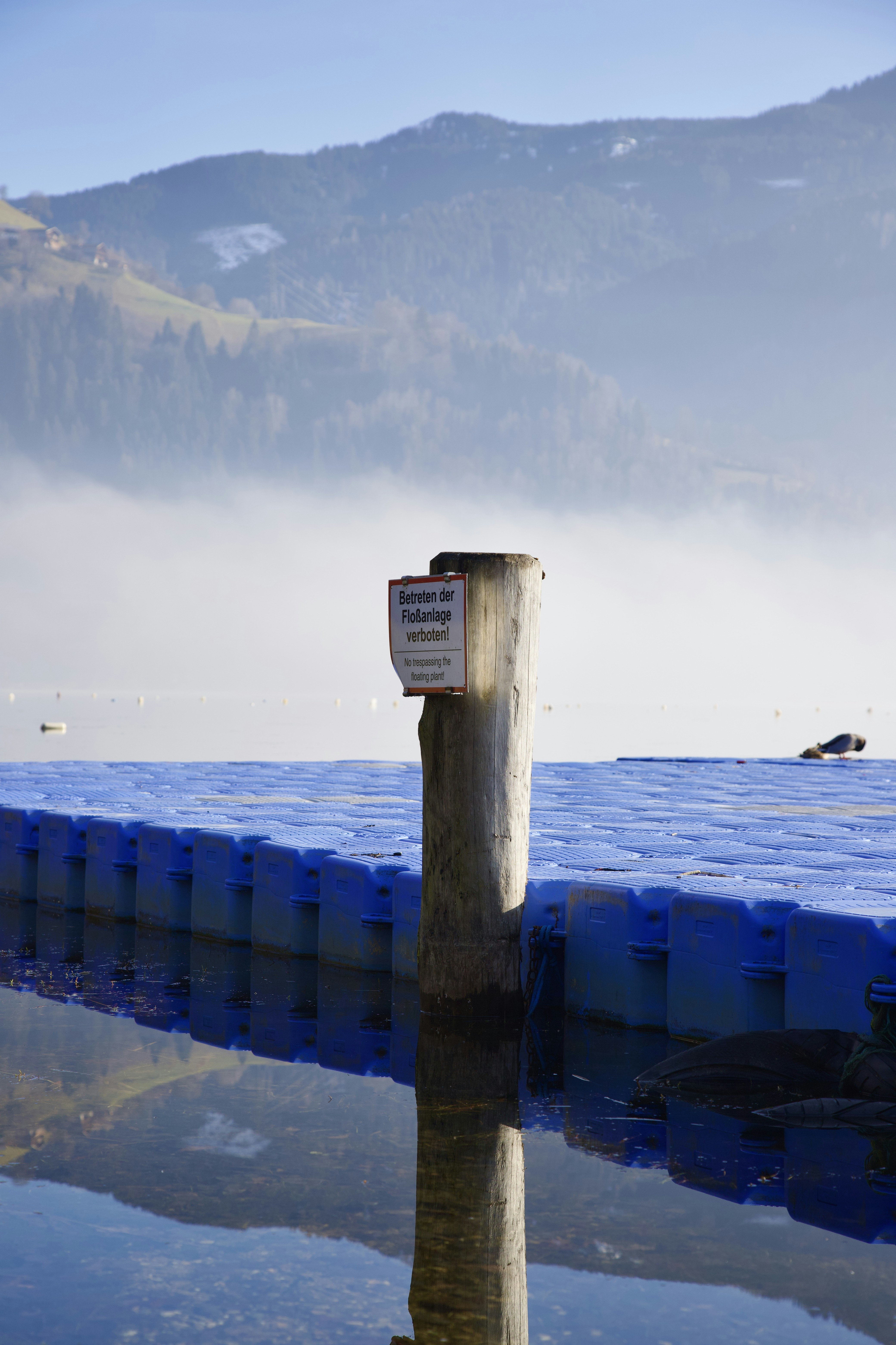 a wooden pole sticking out of a body of water
