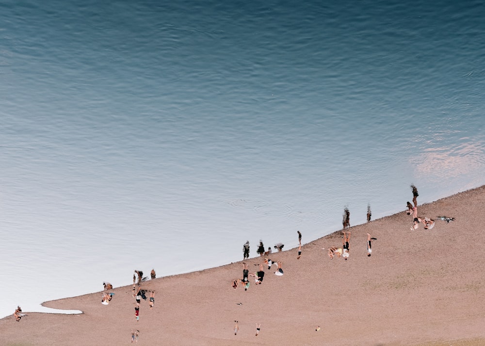 a group of people standing on top of a sandy beach