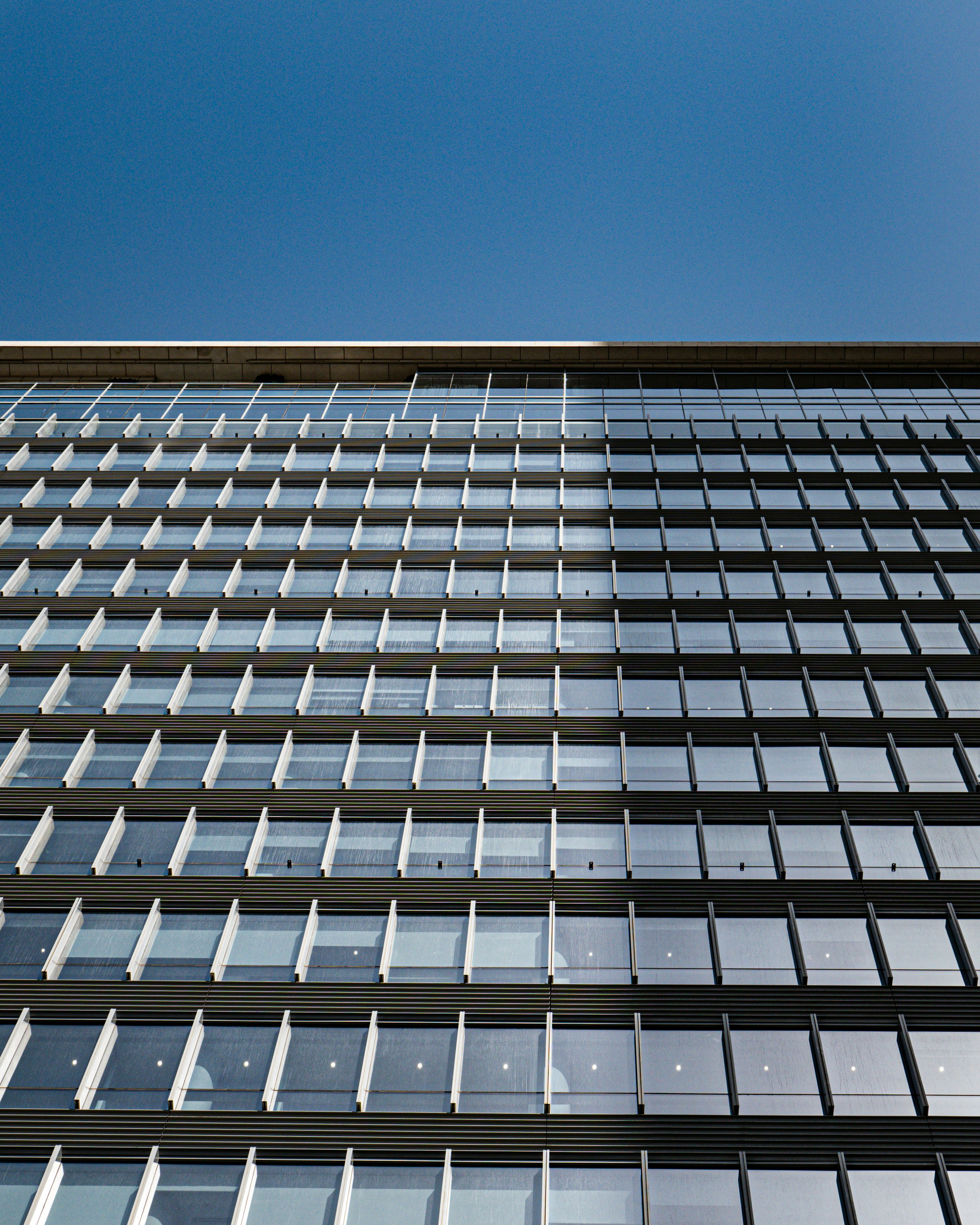 Photo by caleb_david