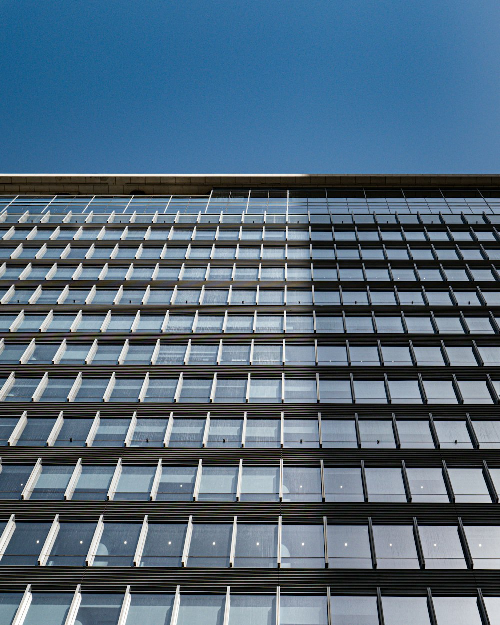 a very tall building with lots of windows