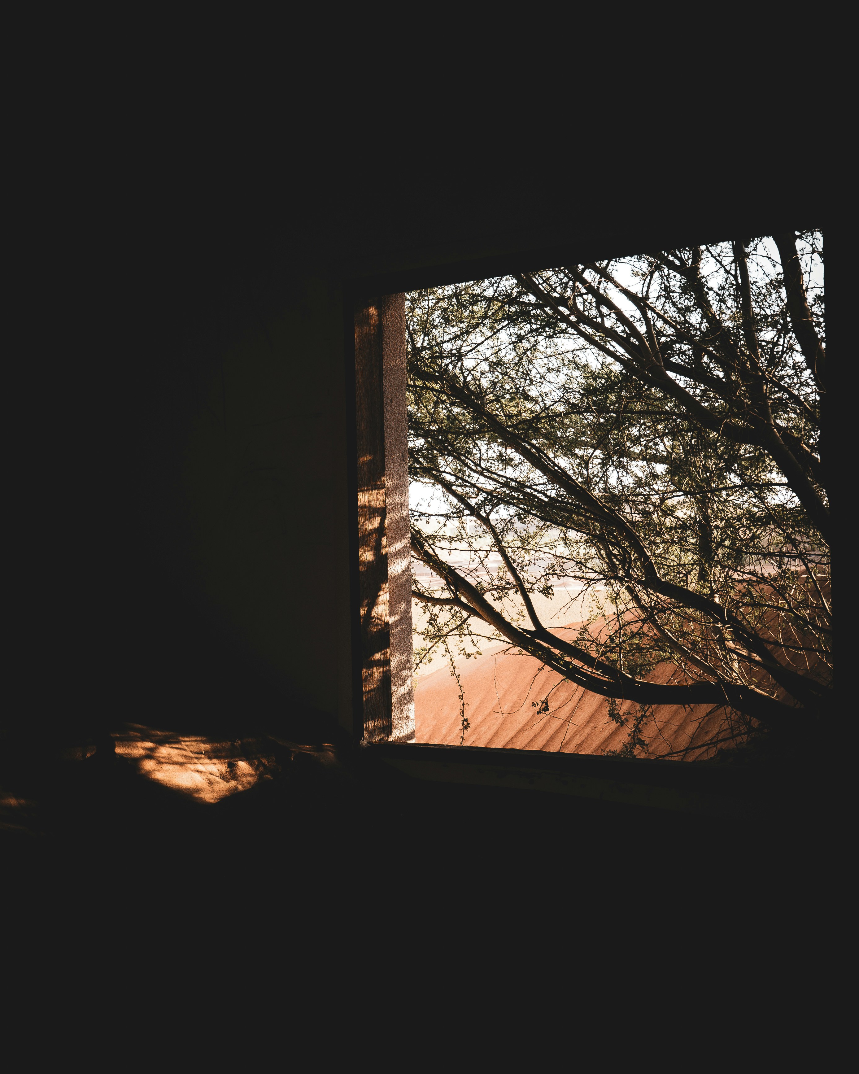 Photo by caleb_david