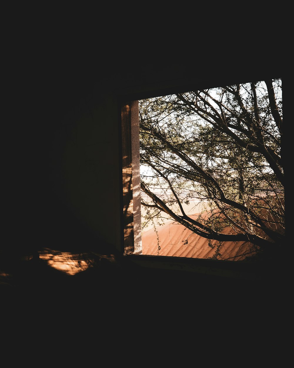 a window with a view of a tree outside