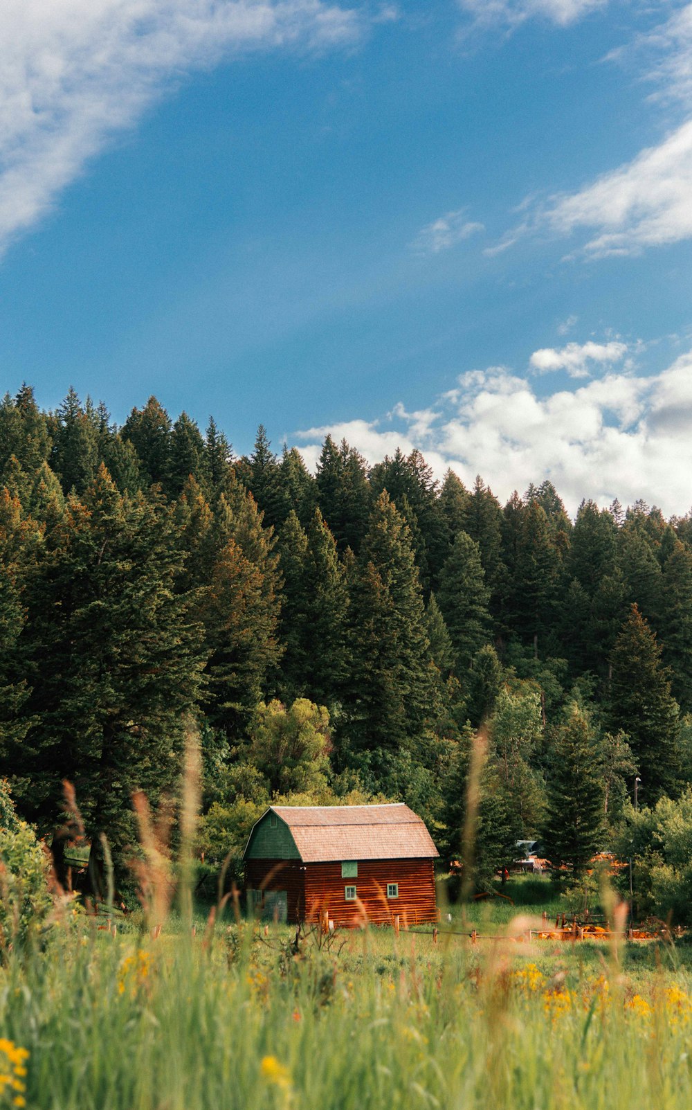 a cabin in the middle of a field with trees in the background