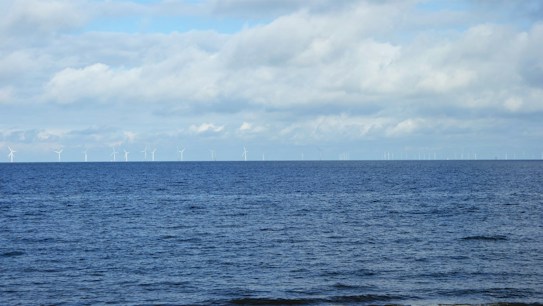 A tranquil sea with a wide expanse of blue water stretches towards the horizon, where numerous wind turbines stand against a backdrop of soft, cloudy skies. The scene conveys a sense of calm and harnesses the theme of renewable energy.