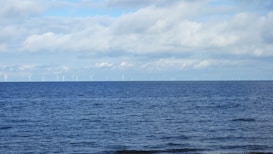 A tranquil sea with a wide expanse of blue water stretches towards the horizon, where numerous wind turbines stand against a backdrop of soft, cloudy skies. The scene conveys a sense of calm and harnesses the theme of renewable energy.