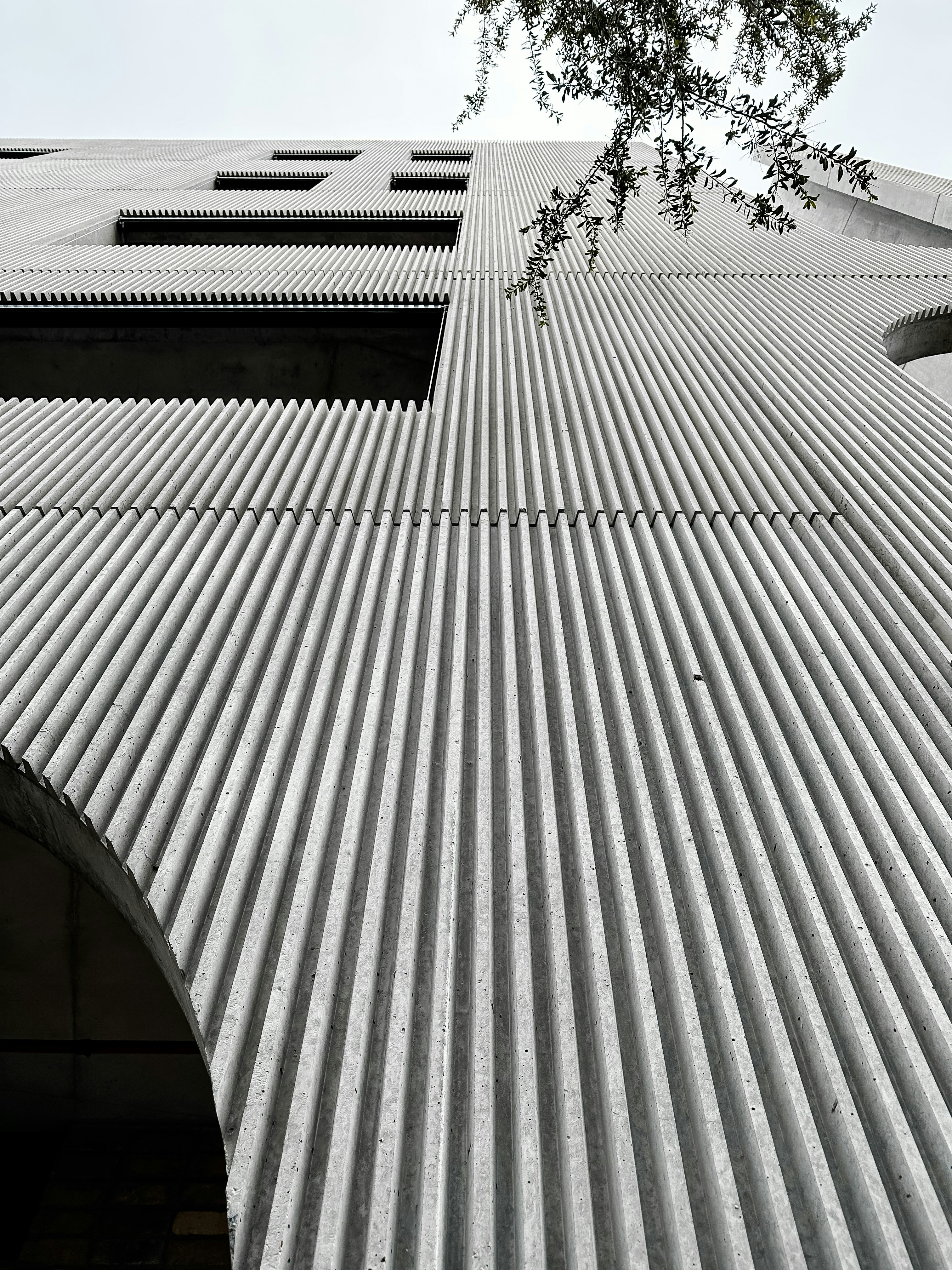 a very tall building with a tree in front of it