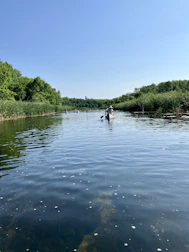 Canoeists paddling through calm river waters surrounded by lush nature.
