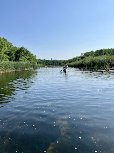 Canoeists paddling through calm river waters surrounded by lush nature.