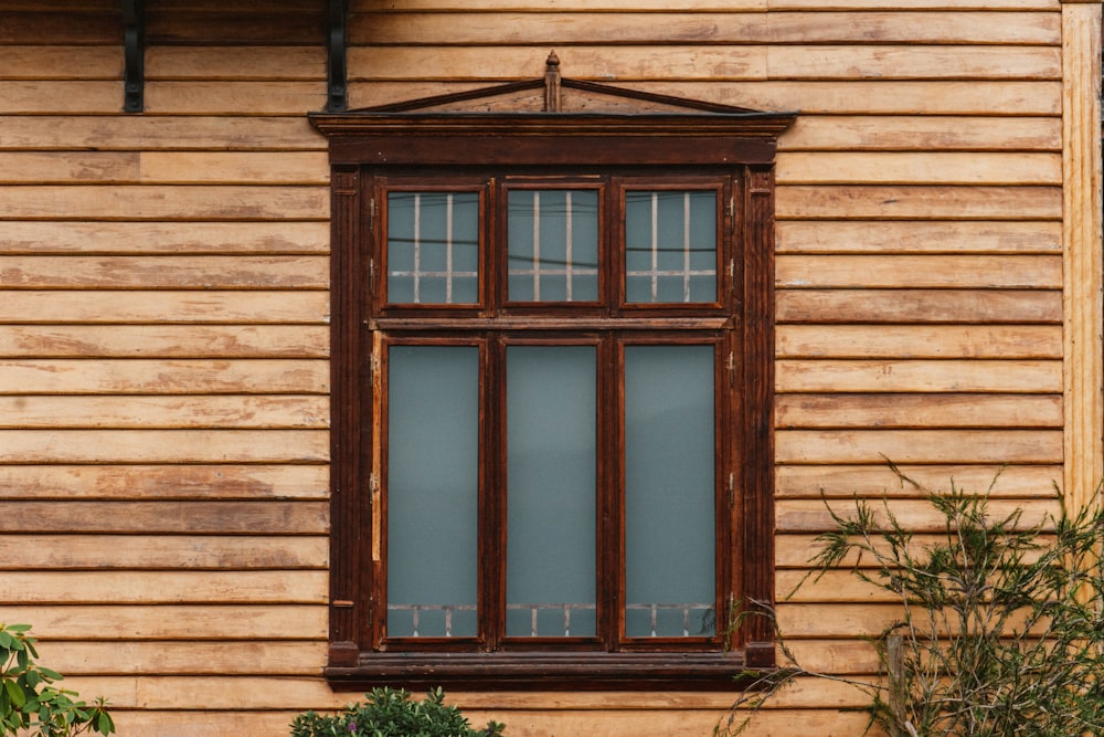 a wooden building with a window and a plant in front of it
