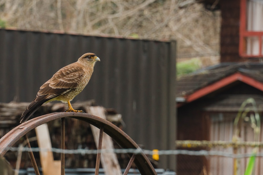 a bird sitting on top of a wooden wheel