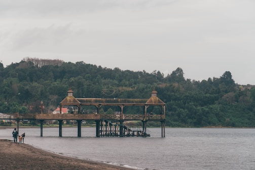 a pier on the shore of a lake