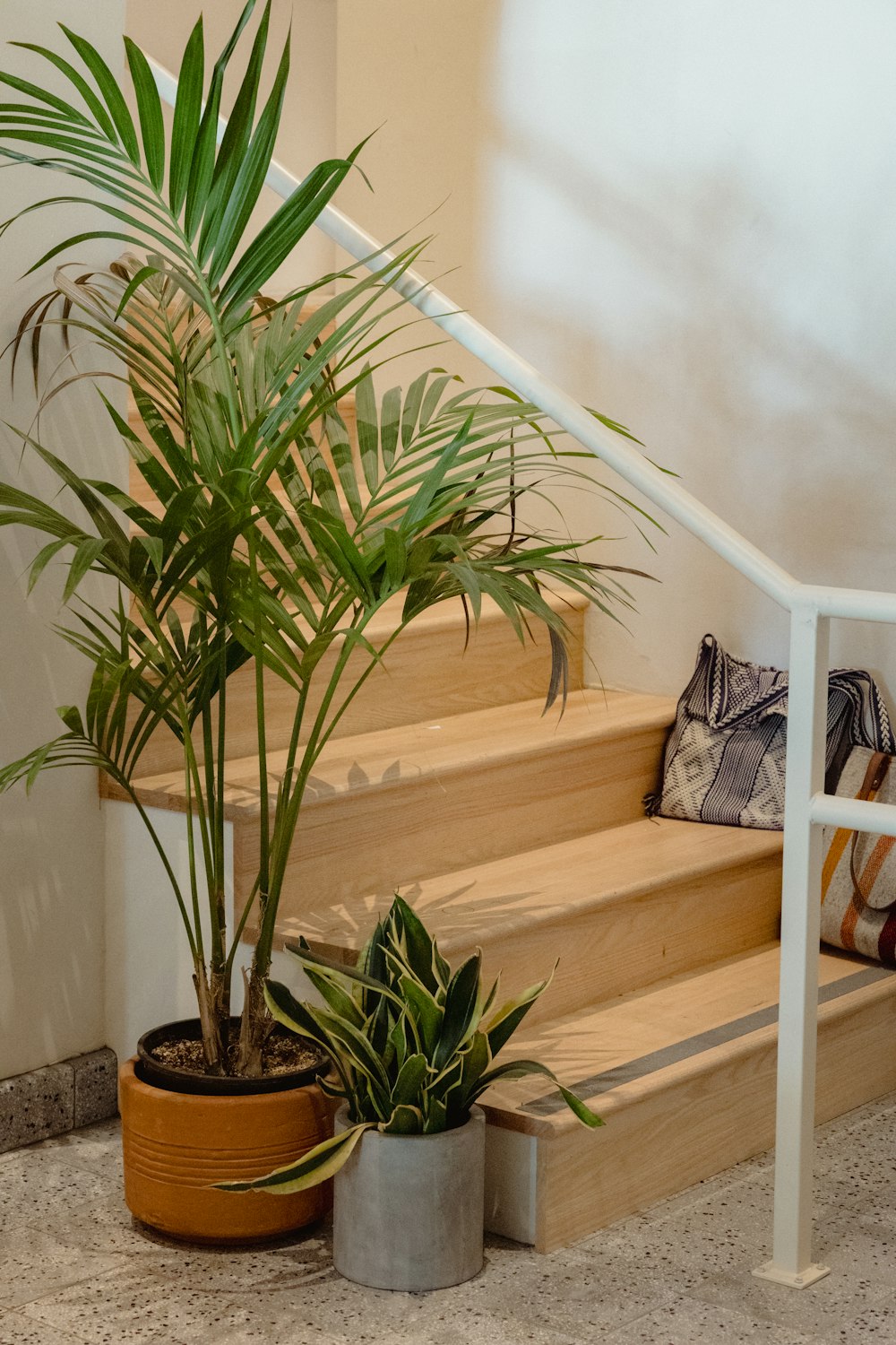 a potted plant sitting on top of a wooden step