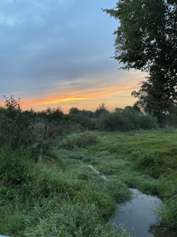 A serene landscape featuring lush greenery and a small stream running through the grass. The sky is painted with soft hues of orange and blue as the sun sets in the distance. Tall trees and bushes frame the scene, adding to the tranquil ambiance.