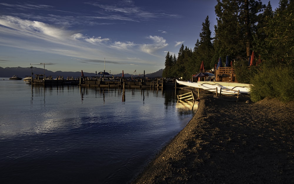 a row of boats sitting on the shore of a lake