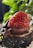 A close-up of a decadent chocolate dessert with fresh berries on top.
