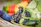 Close-up of a vibrant fruit basket from an online grocery order
