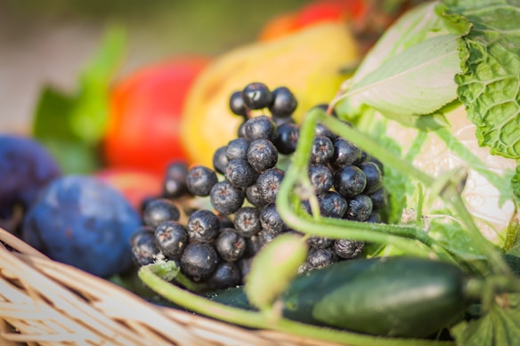 A vibrant arrangement of fresh produce featuring dark blue and black berries at the center, surrounded by a variety of colorful fruits and vegetables, including leafy greens, plums, and a cucumber, all placed in a woven basket.