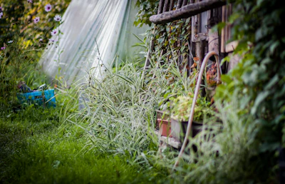 Lauren E. Gaskin tending to her garden on the Louisiana homestead, surrounded by lush greenery and blooming flowers.