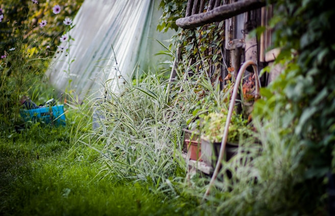 A craftsman carefully assembling a wooden garden structure surrounded by lush greenery.