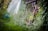 A lush garden setting with abundant greenery, including tall grass and flowering plants. A rustic wooden structure is partially visible, surrounded by climbing plants. A hose is coiled nearby, and there's a hint of a tarp or greenhouse material in the background.