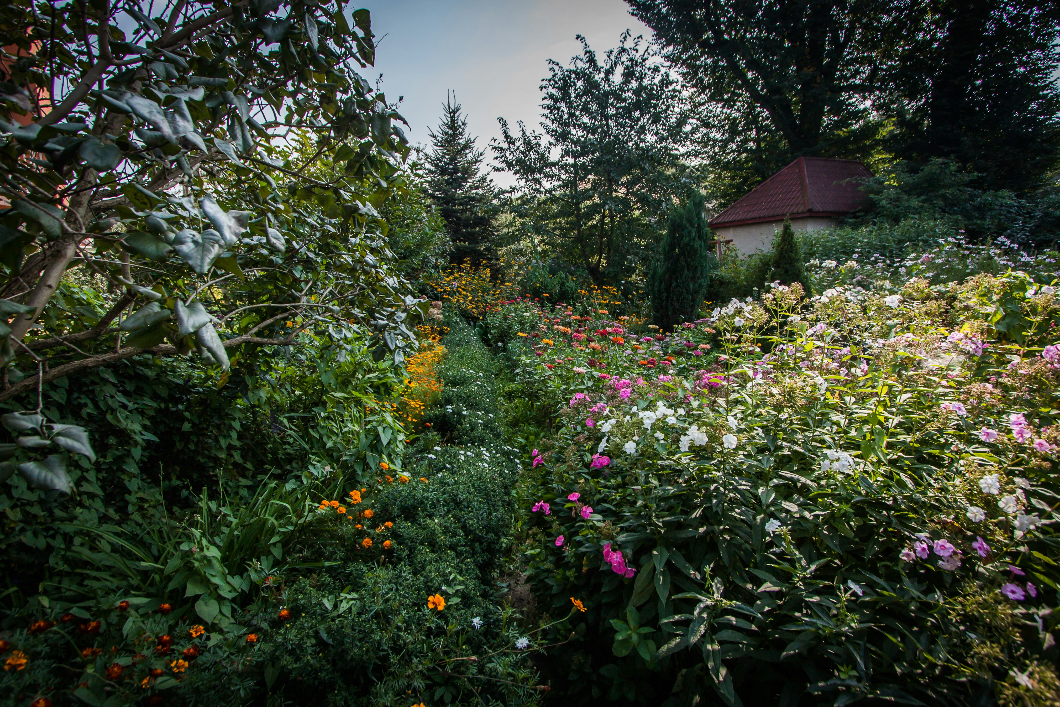 Photo by jankraus