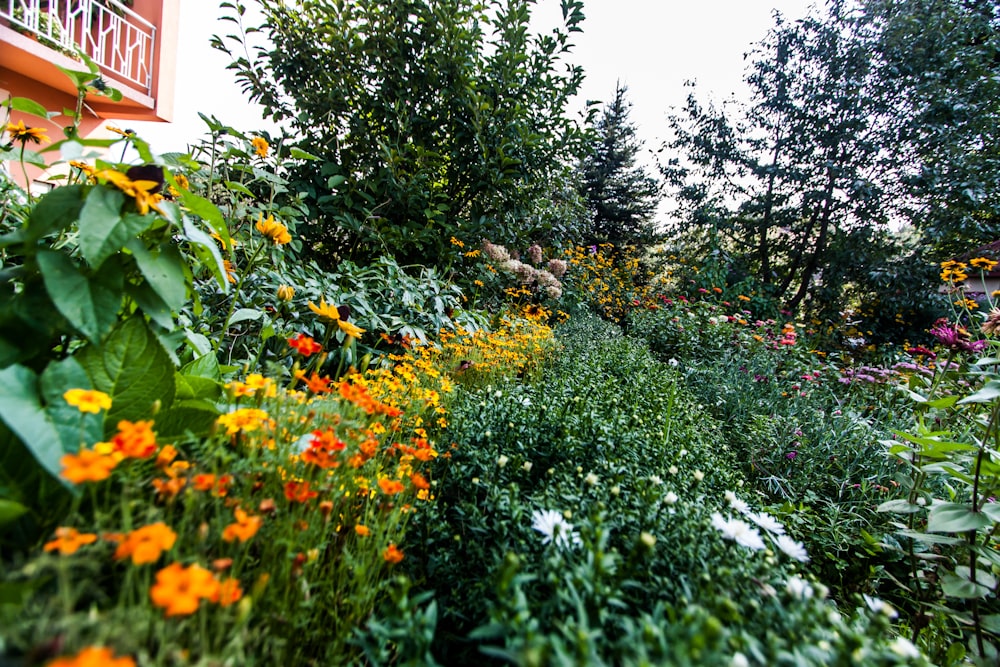 a bunch of flowers that are by a building