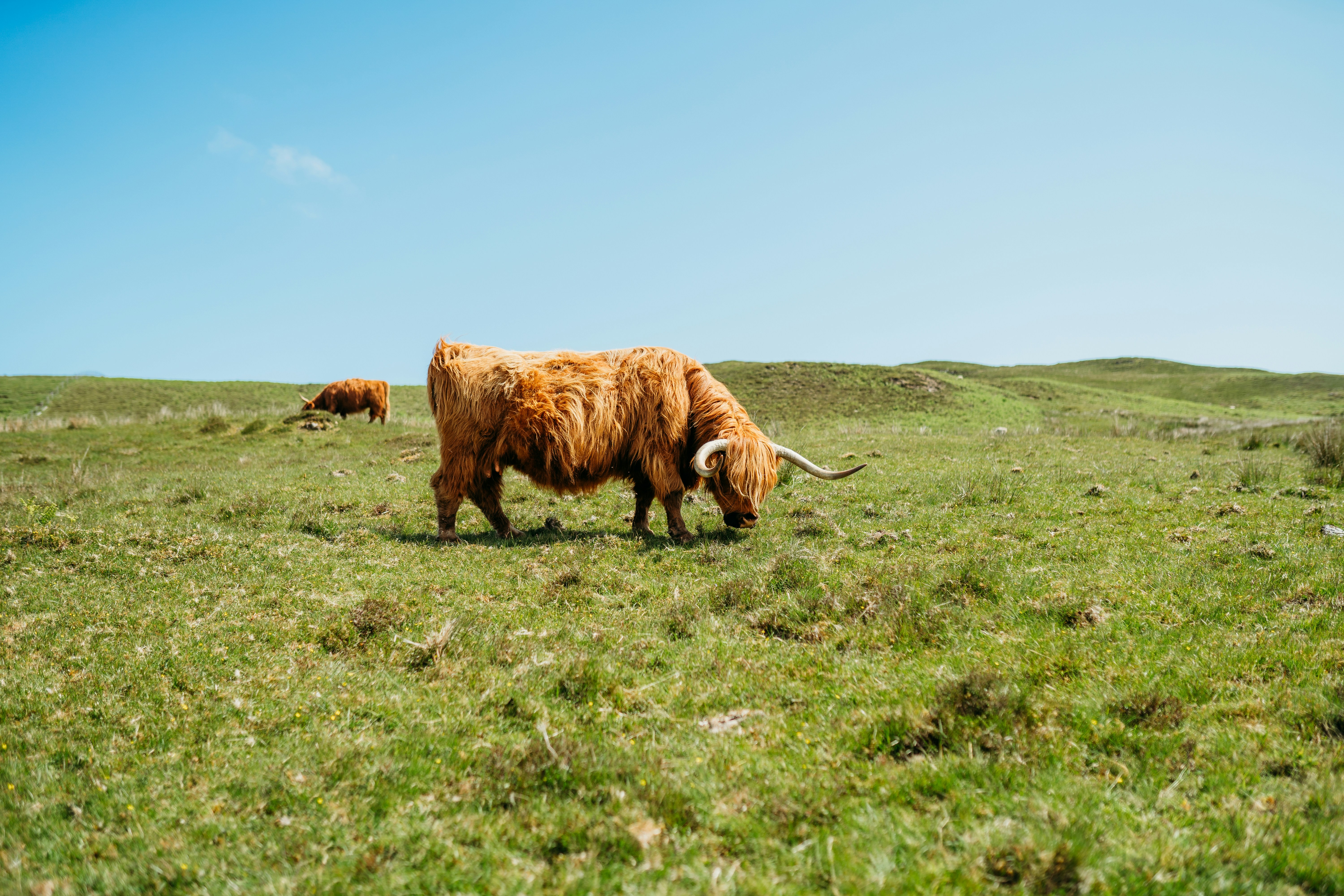 Photo by kaylacoreyphotography