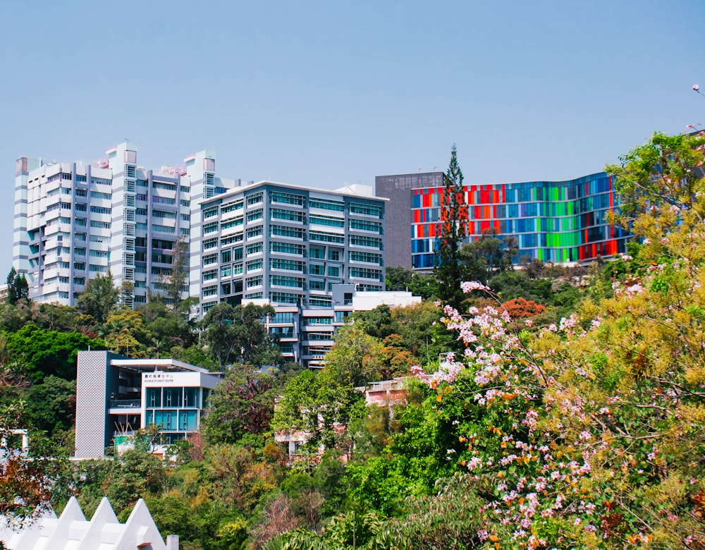 a group of multicolored buildings on a hill
