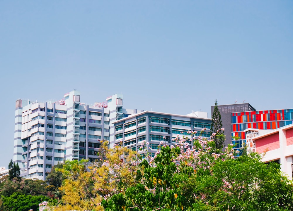 a group of buildings with trees in front of them