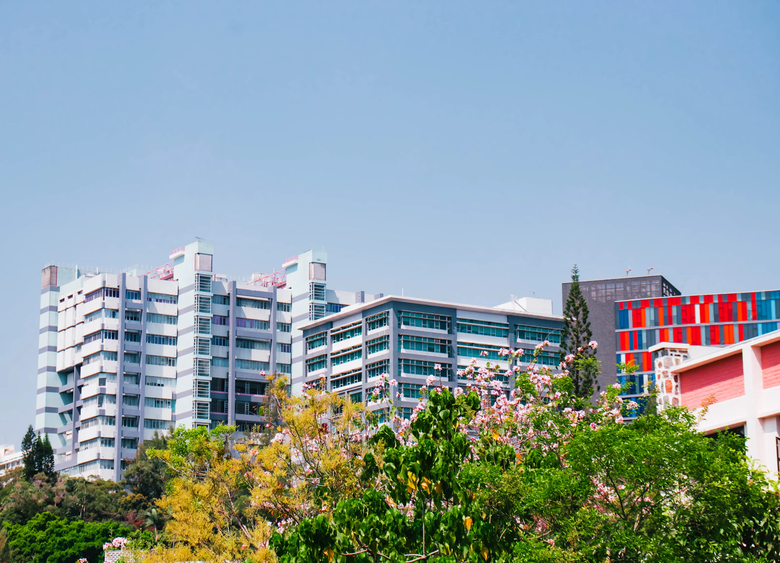 University buildings among green trees on the Chinese University of Hong Kong campus in spring