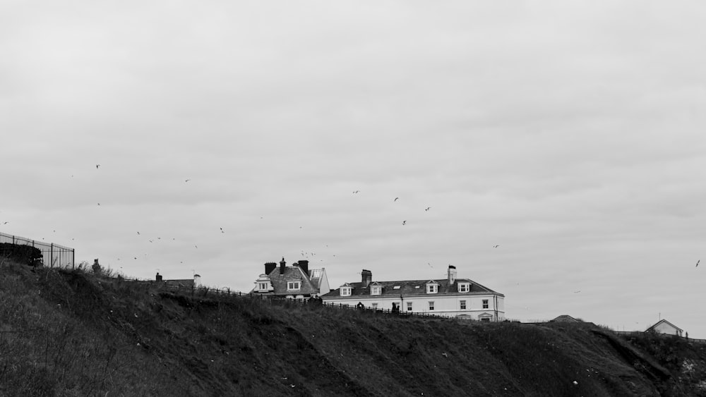 a house on a hill with birds flying around