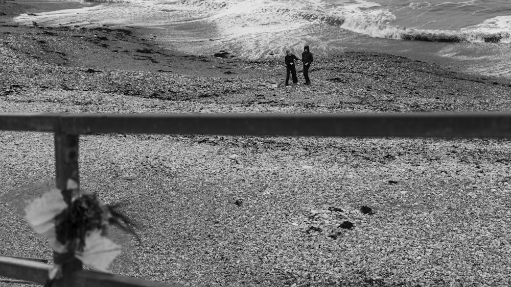 a couple of people standing on top of a beach