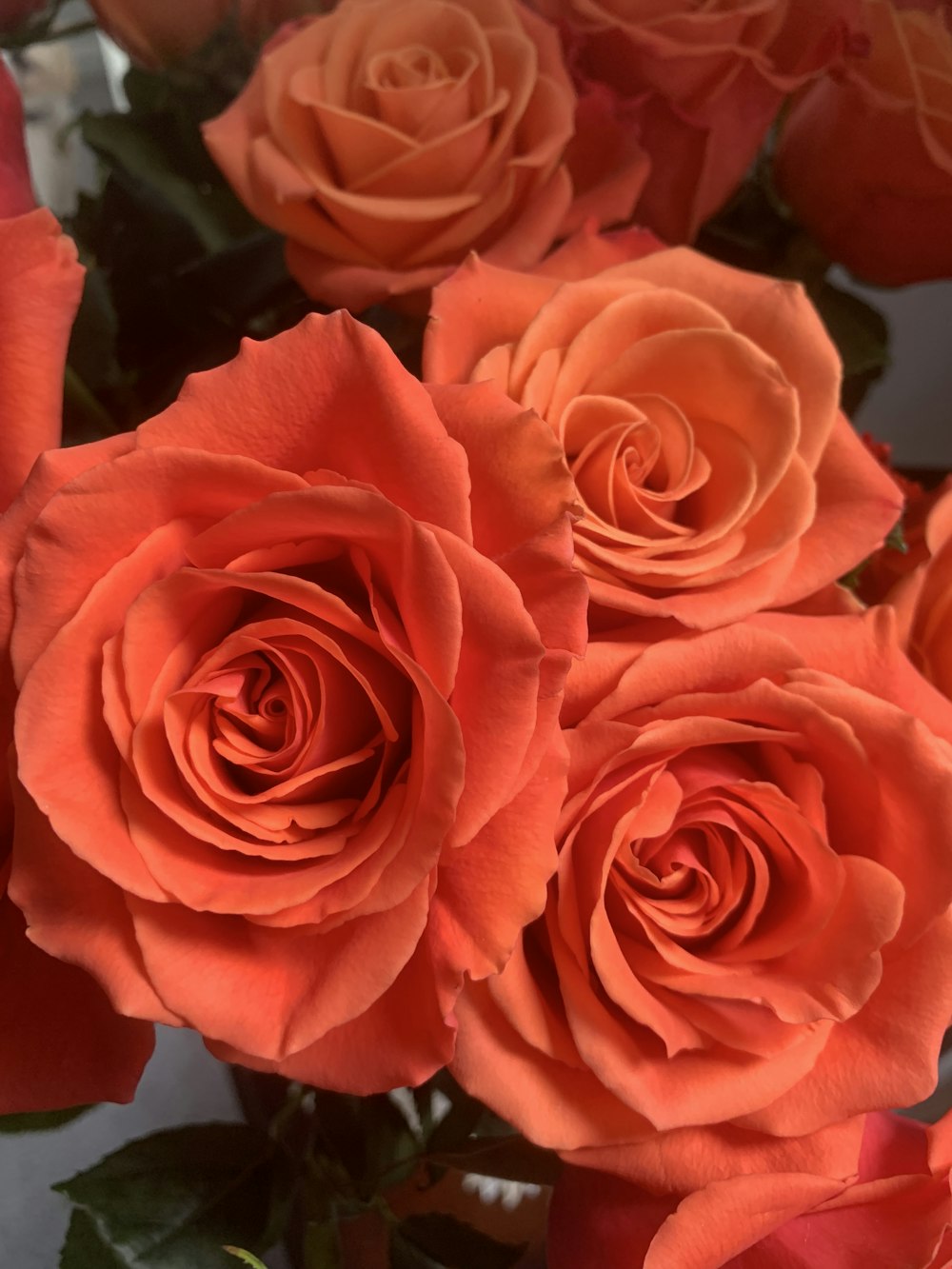 a bunch of orange roses in a vase