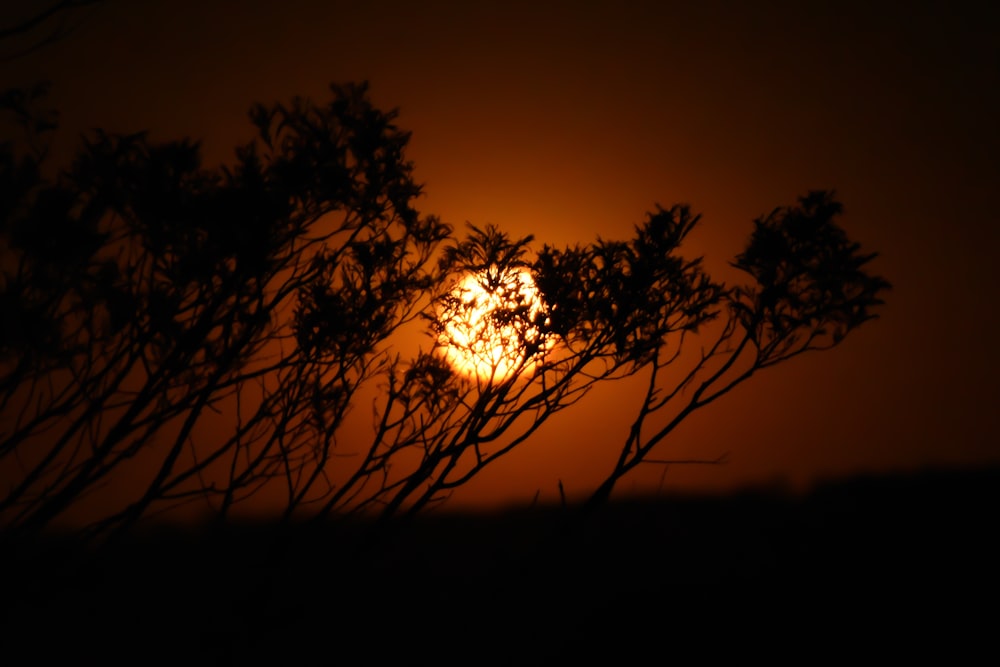 the sun is setting behind some trees