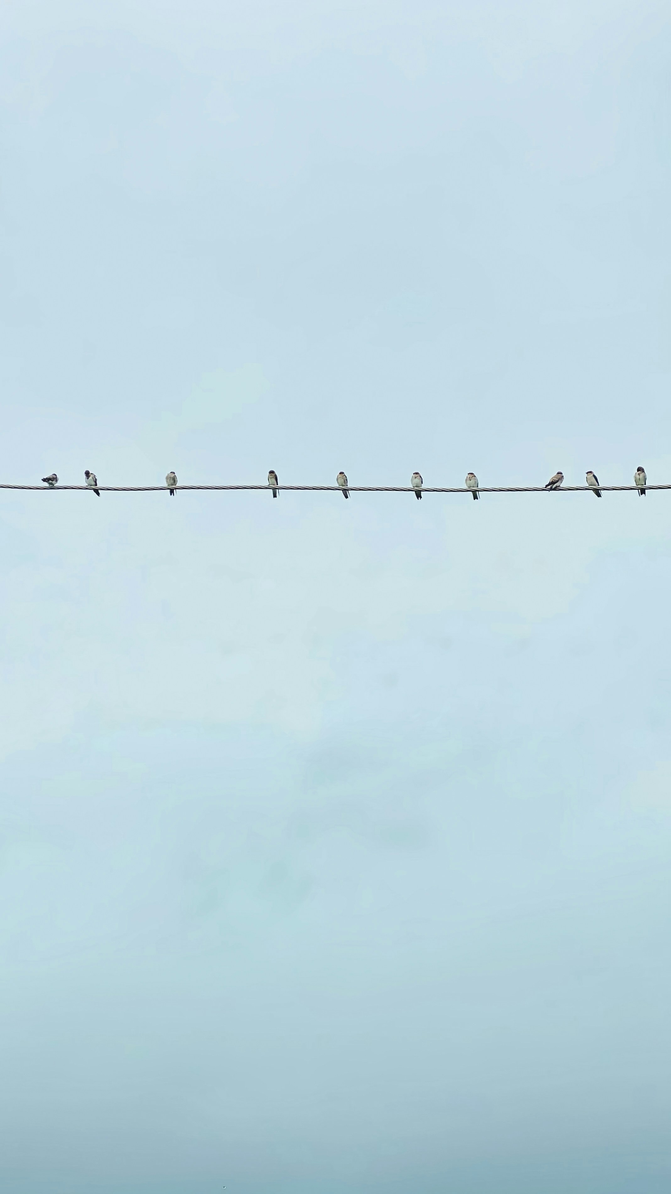 woman wearing yellow long-sleeved dress under white clouds and blue sky during daytime