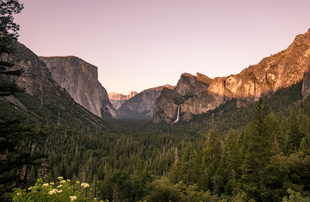 a view of a valley with mountains in the background