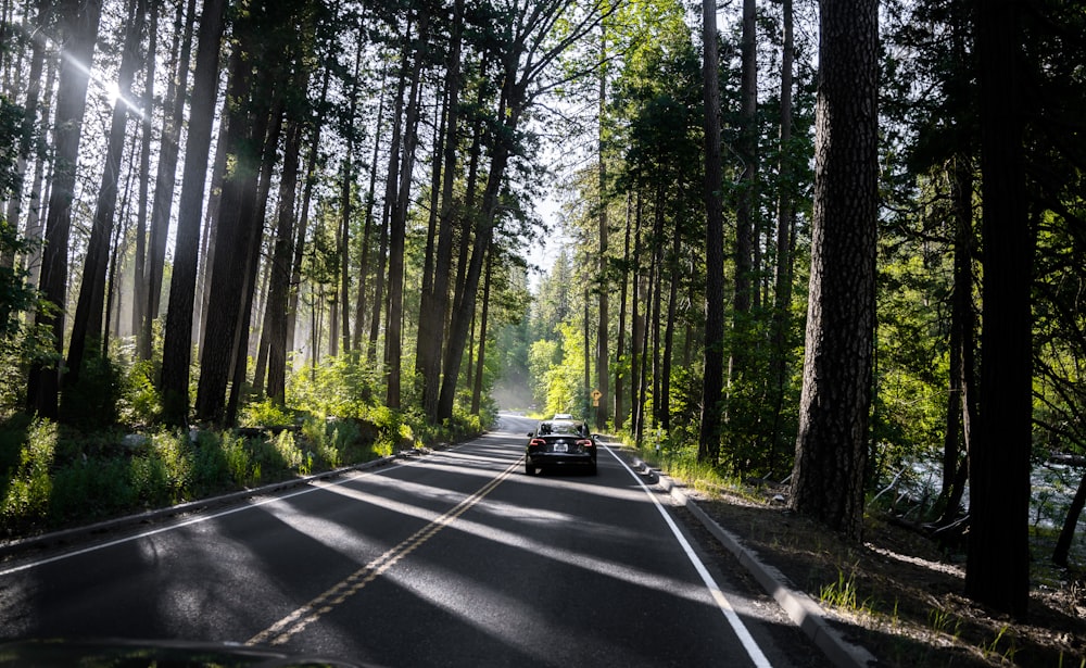 a car driving down a road surrounded by trees