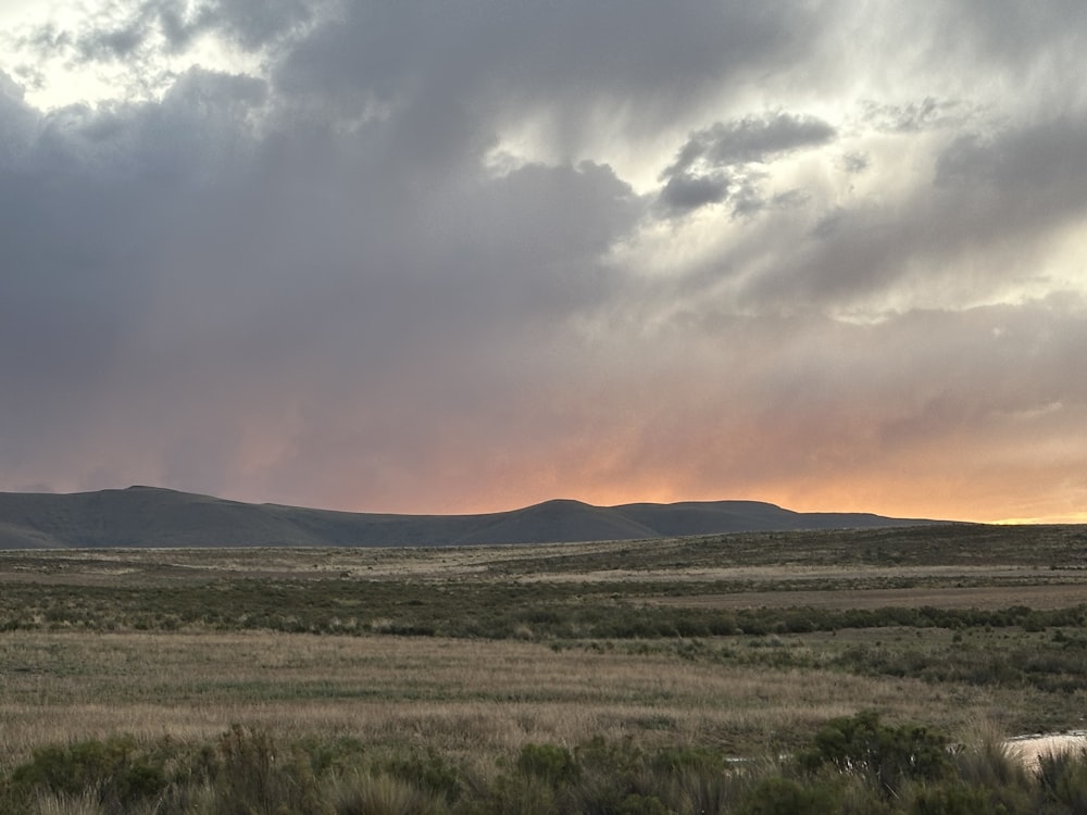 a large field with a mountain in the background