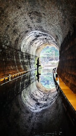 A tunnel with a textured ceiling and walls is visible, adorned with numerous small, evenly distributed tiles. A narrow body of water runs through the center, creating a reflective surface that mirrors the tunnel's structure, including the silhouette of a person standing in the distance. Natural light pours in from the tunnel's entrance, illuminating the greenery outside.