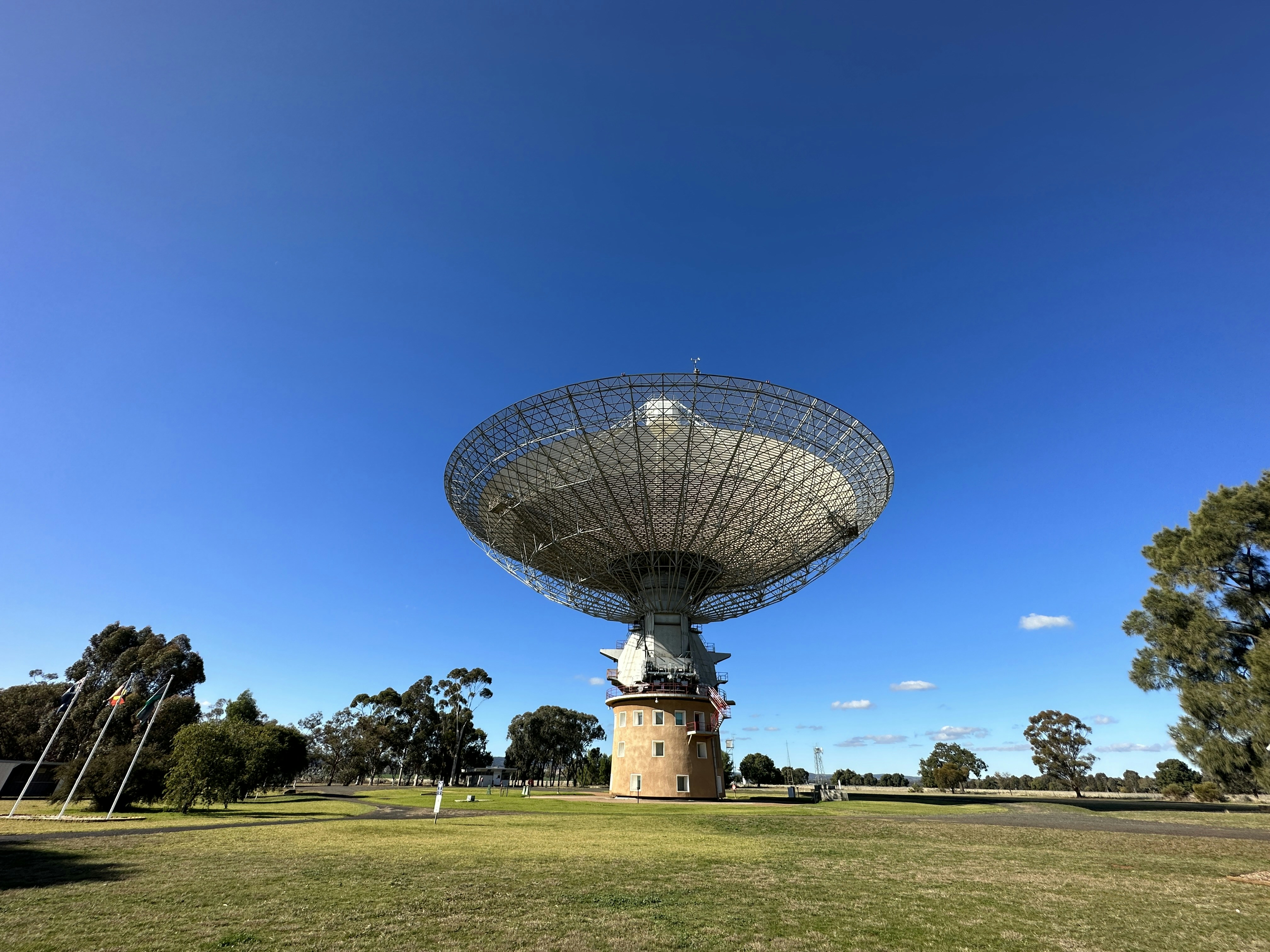 a large satellite dish sitting on top of a lush green field