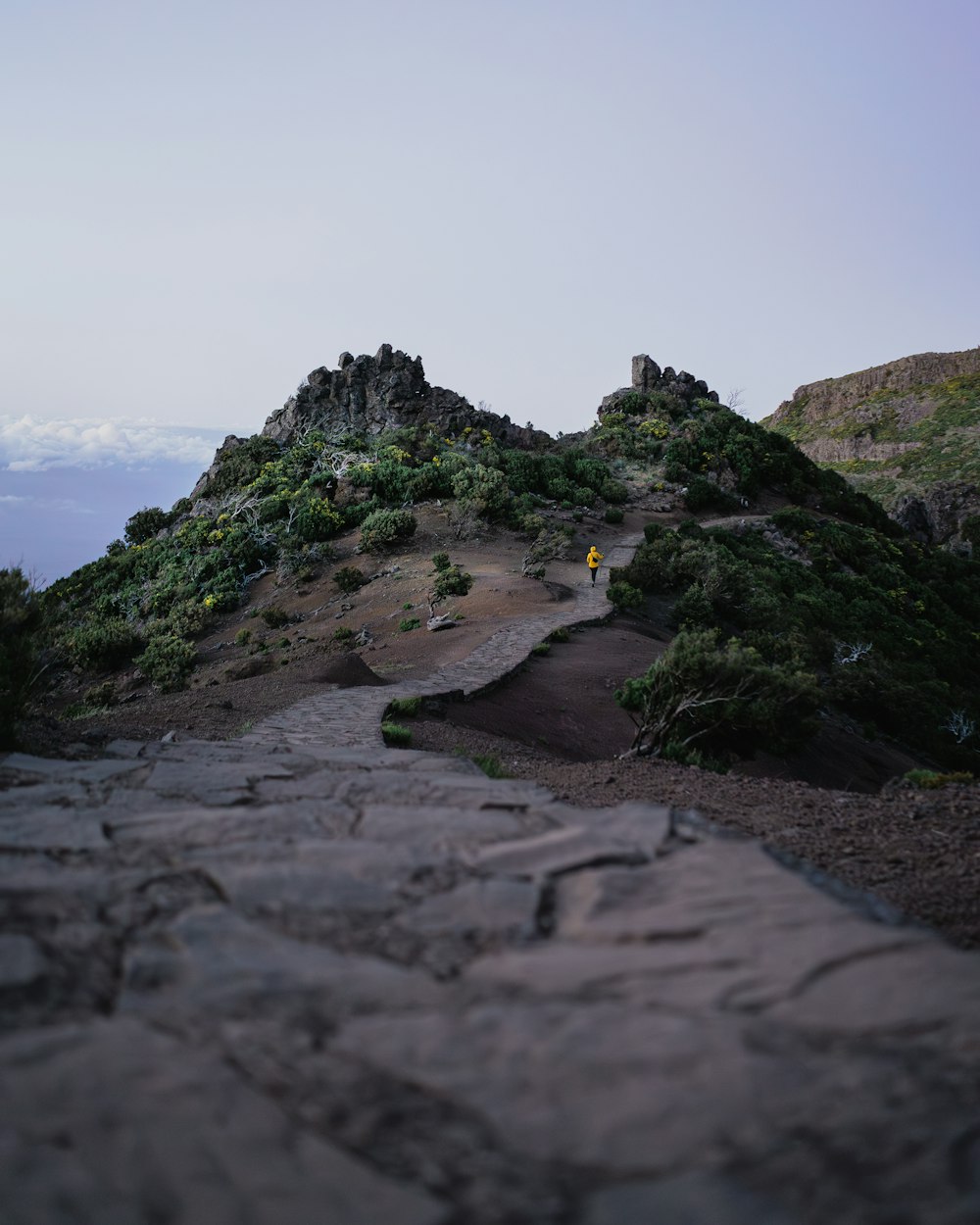 a stone path leading up a mountain side