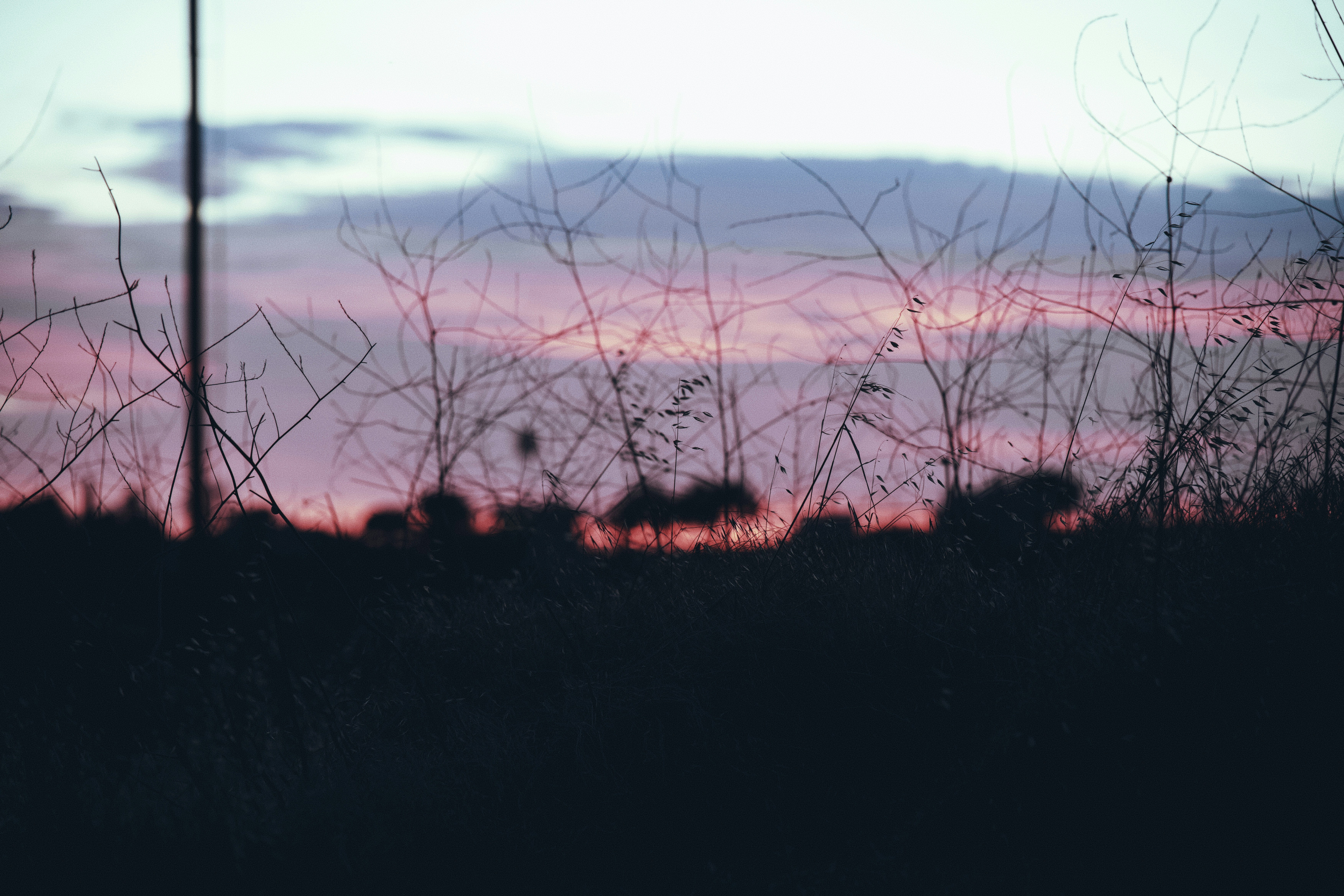 Photo by shxdow_lxns