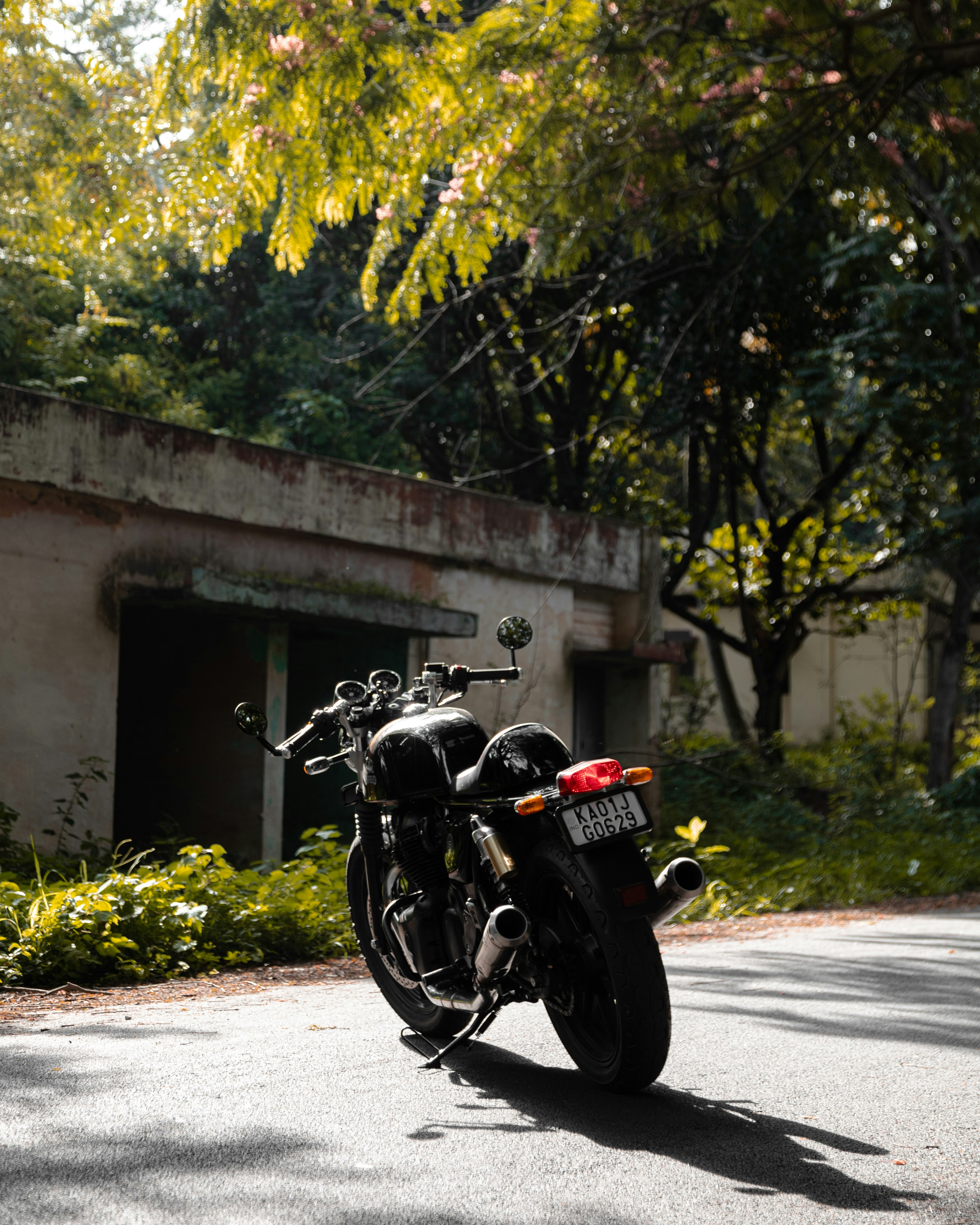 Photo by rohankrishnann