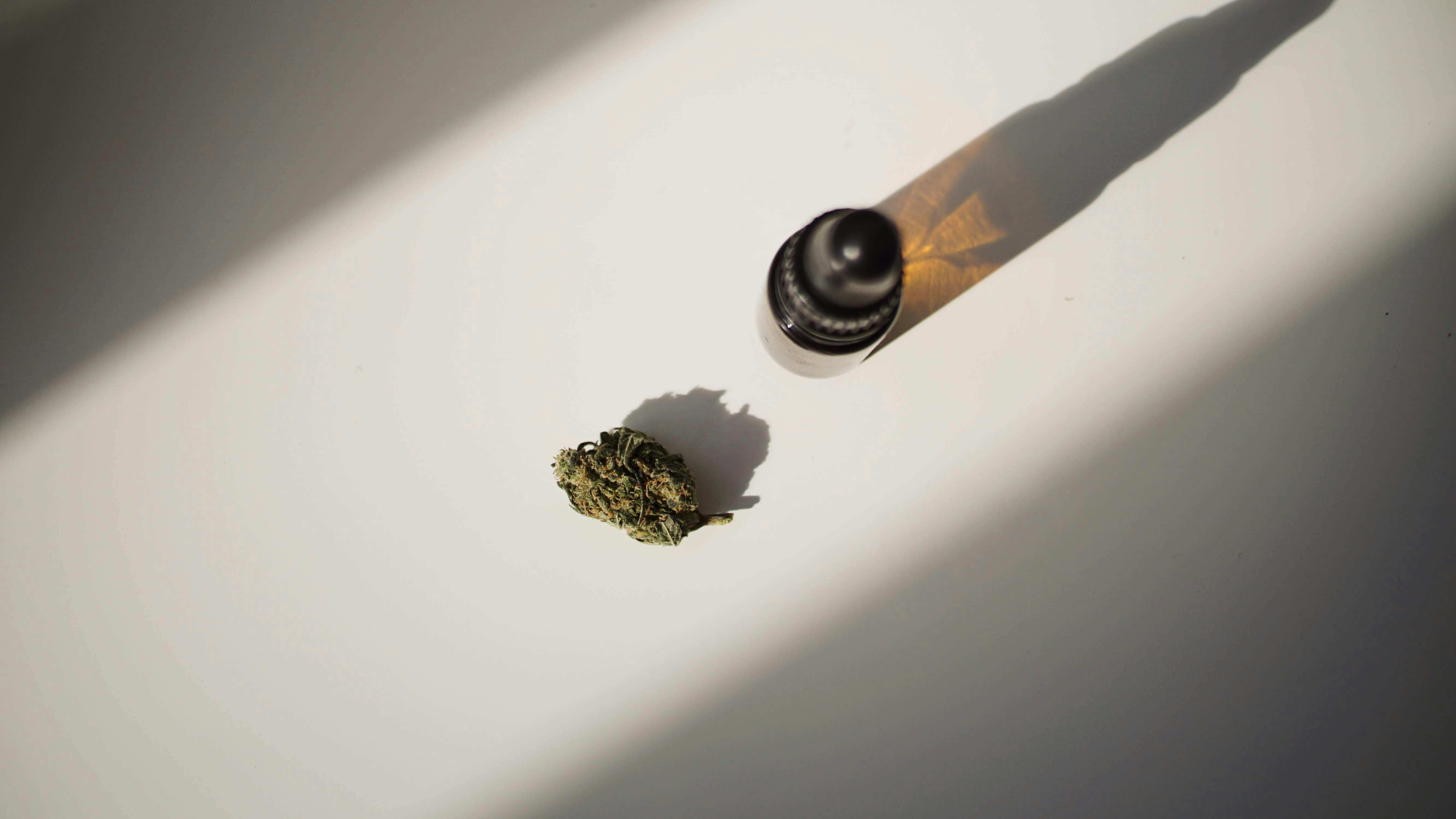 Less Is Actually More: The Strange Case of Getting Better Results With a Lower CBD Dose