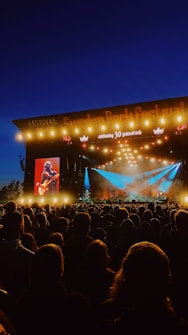 A large crowd of people is gathered in front of an outdoor stage at a music festival. Bright stage lights illuminate the stage, and a large screen displays a musician playing a guitar. The sky is dark, indicating it is nighttime, and the words 'celebrating 30 years of rock' are illuminated above the stage.